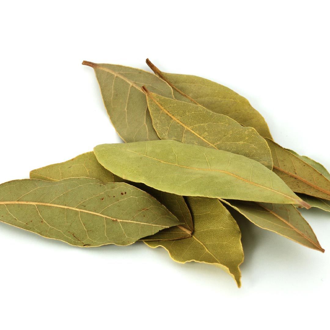 Feuille de laurier