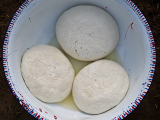 Wagashi